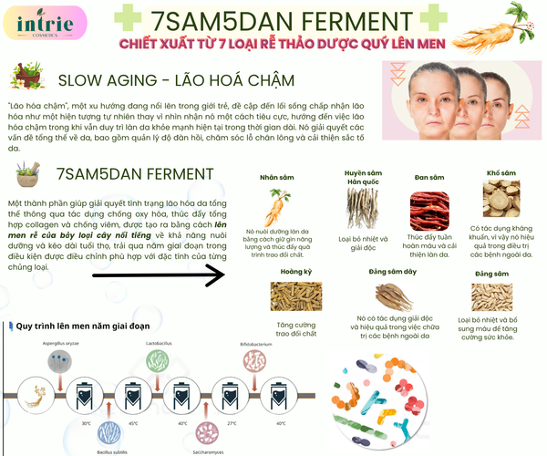  7Sam5Dan Ferment 
