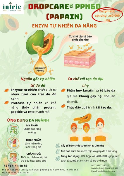  DropCare® PPN60 (Papain 60w) 