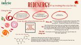  REDENERGY 