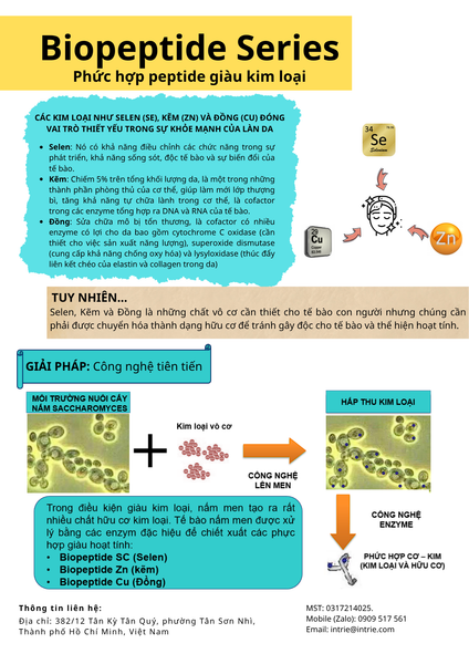  BIOPEPTIDE 