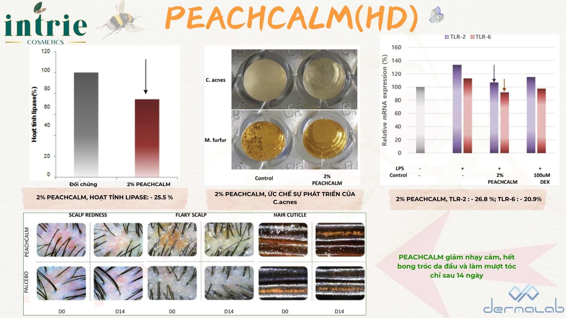  PEACHCALM (HD) 