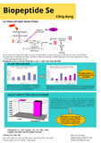  BIOPEPTIDE 
