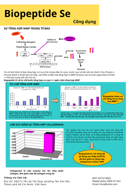  BIOPEPTIDE 
