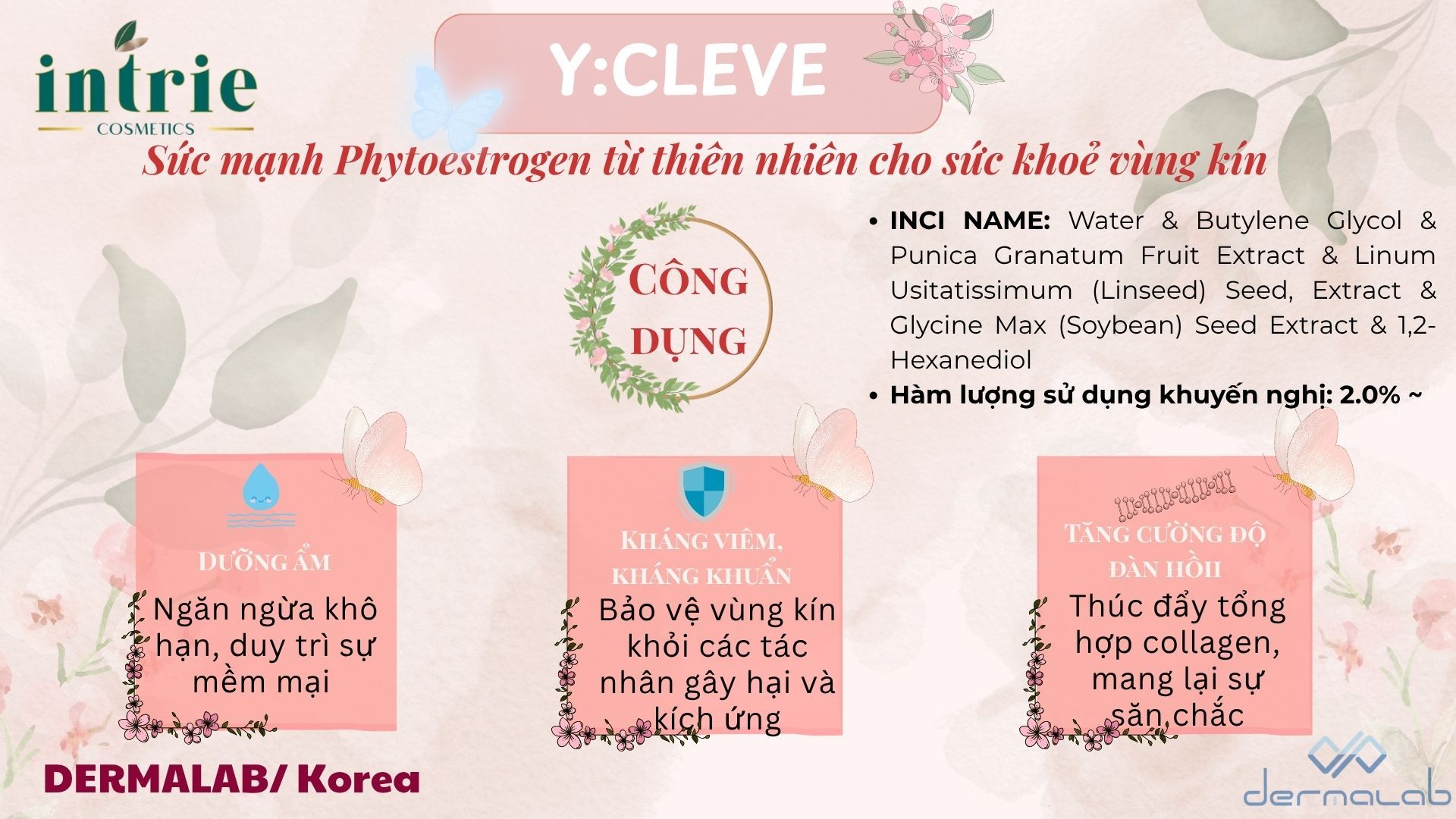  Y:CLEVE 