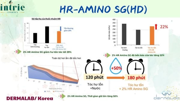  HR-AMINO SG (HD) 