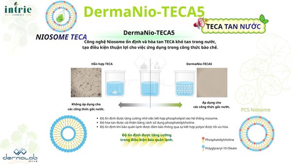  DermaNio-TECA5 