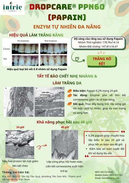  DropCare® PPN60 (Papain 60w) 