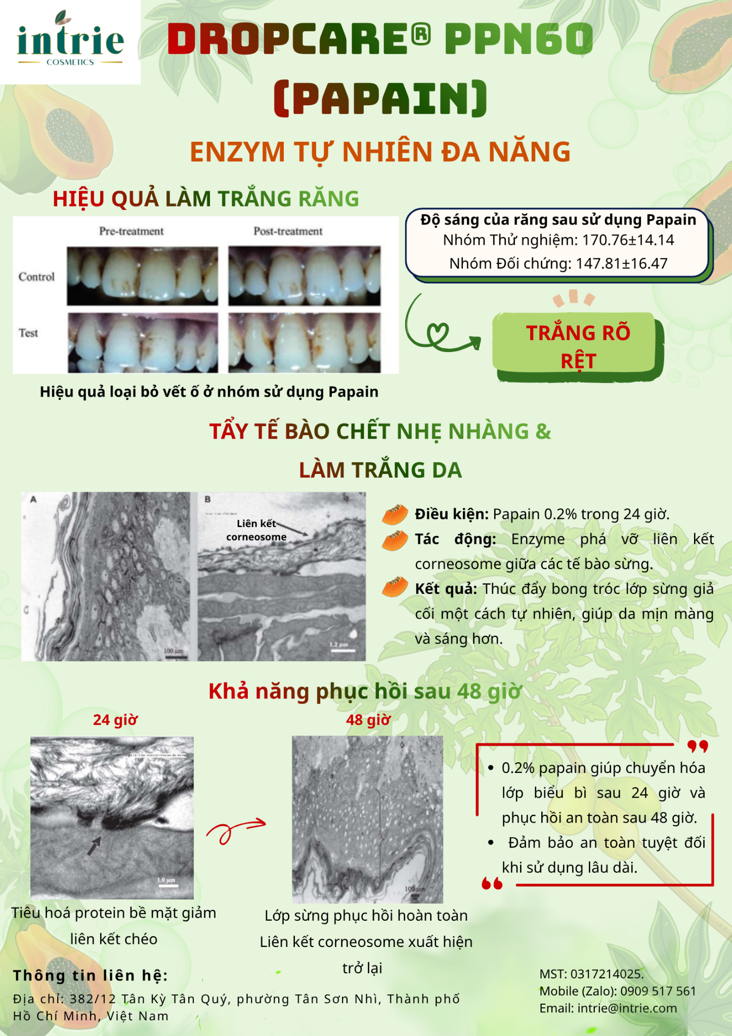  DropCare® PPN60 (Papain 60w) 