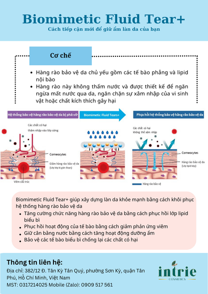  BIOMIMETIC FLUID TEAR+ 