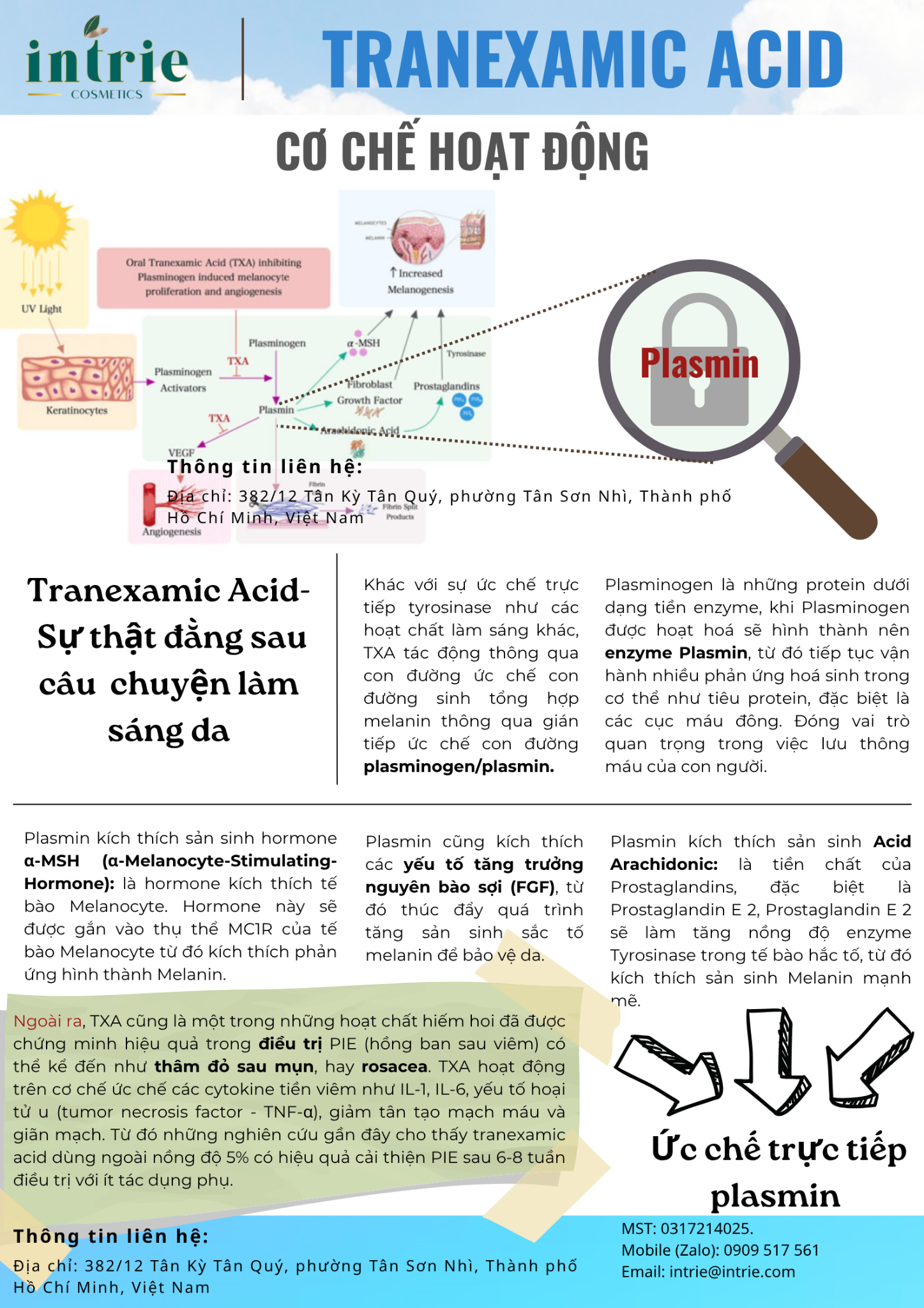  Tranexamic acid 