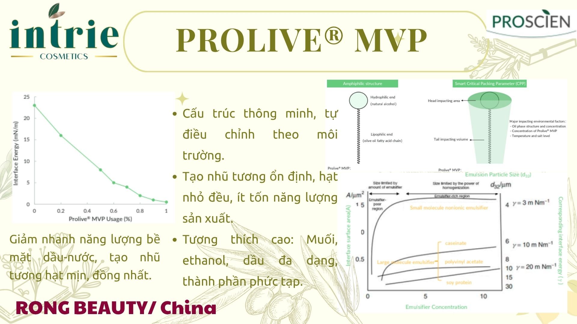  Prolive® MVP 