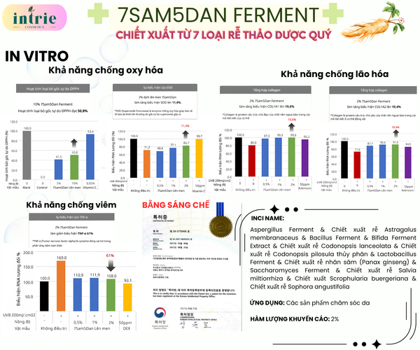  7Sam5Dan Ferment 