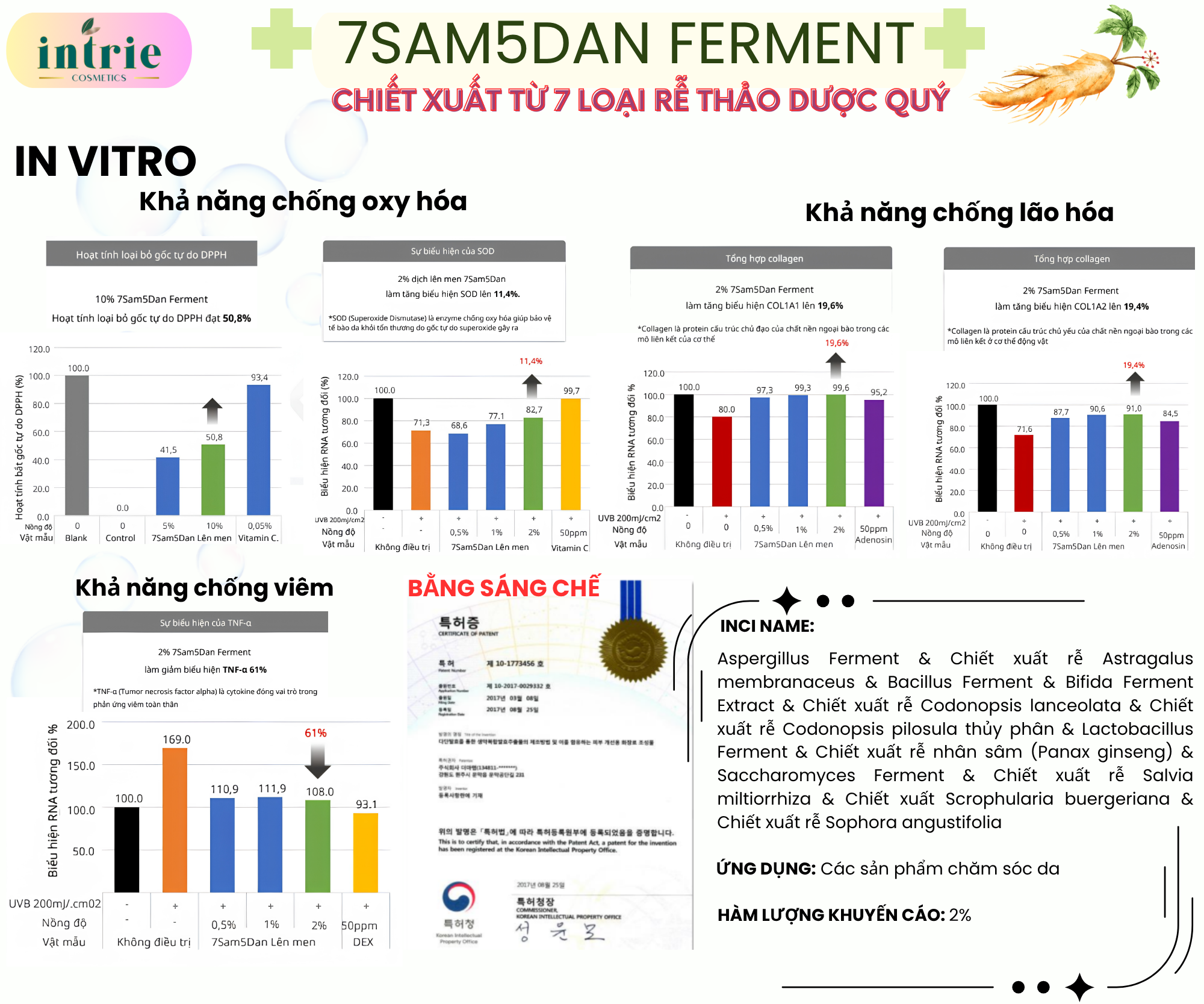  7Sam5Dan Ferment 
