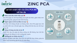  ZINC PCA 
