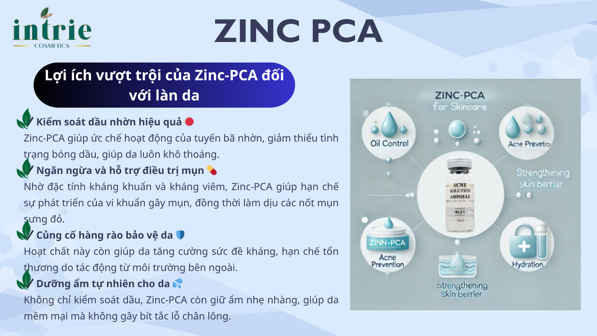  ZINC PCA 