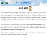  BeriCos® Cysteamine HLC 
