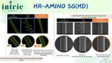  HR-AMINO SG (HD) 