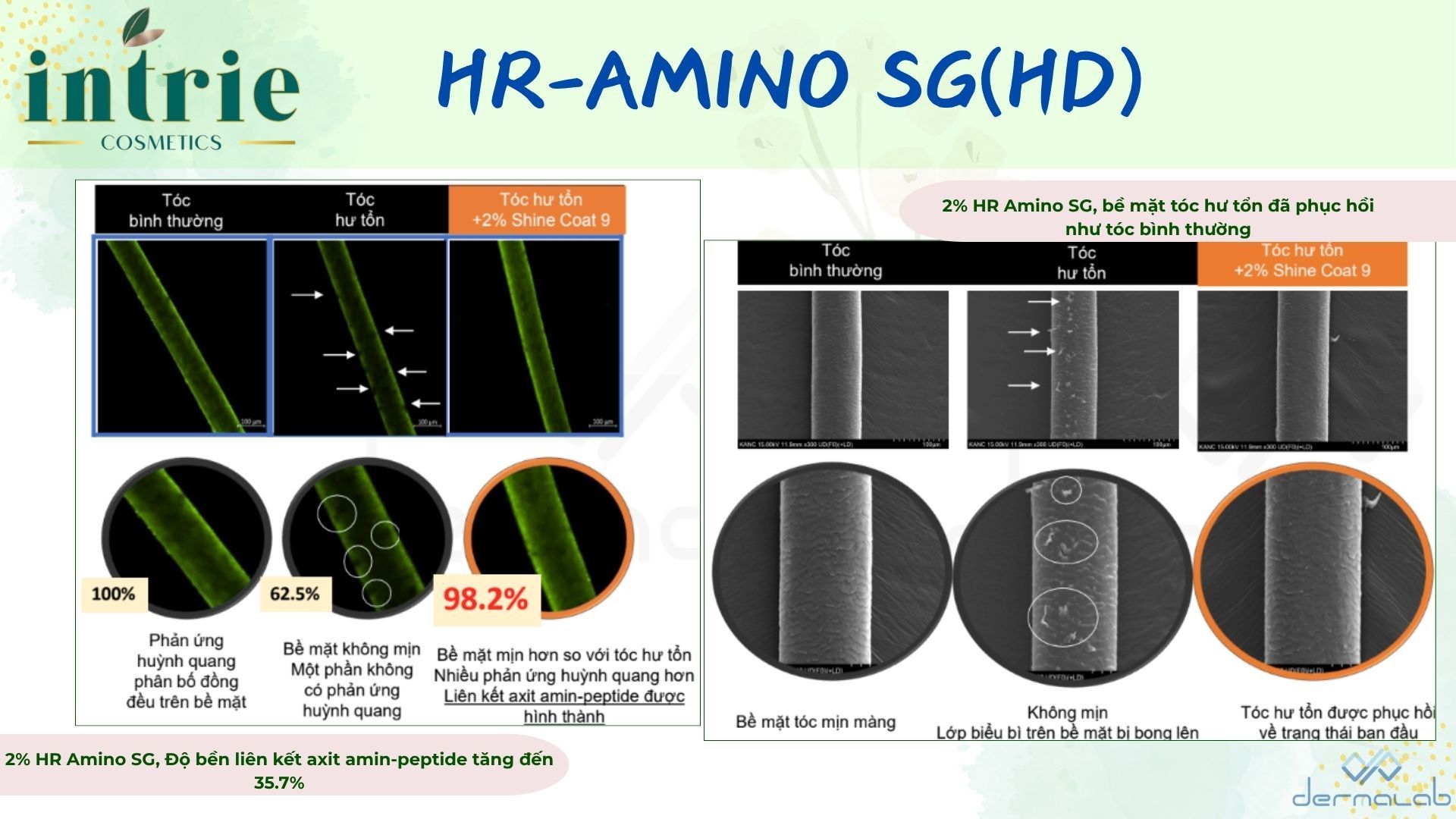  HR-AMINO SG (HD) 