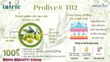  PROLIVE® T02 