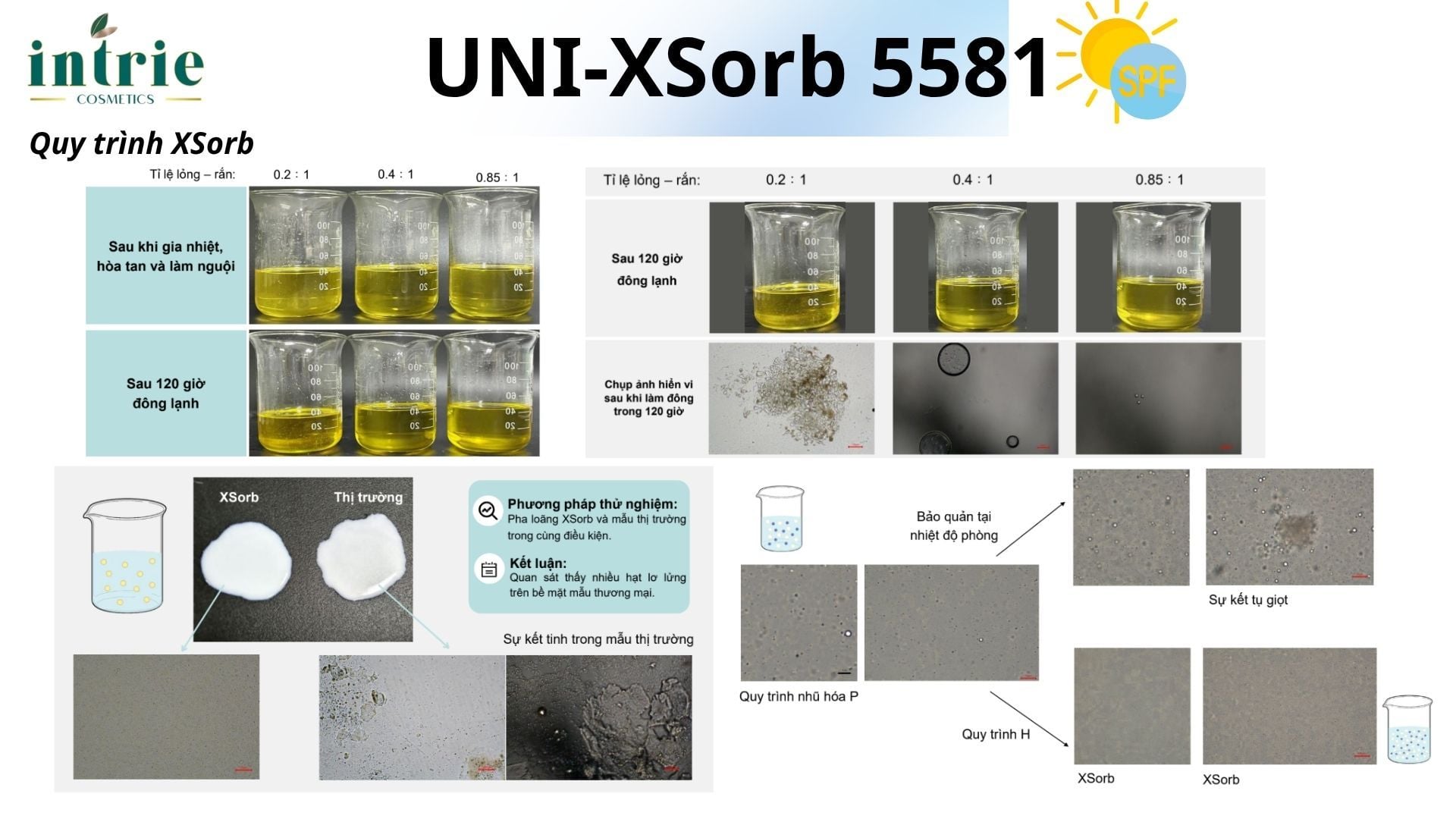 UNI-XSorb 5581 