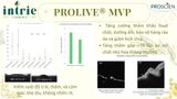 Prolive® MVP 