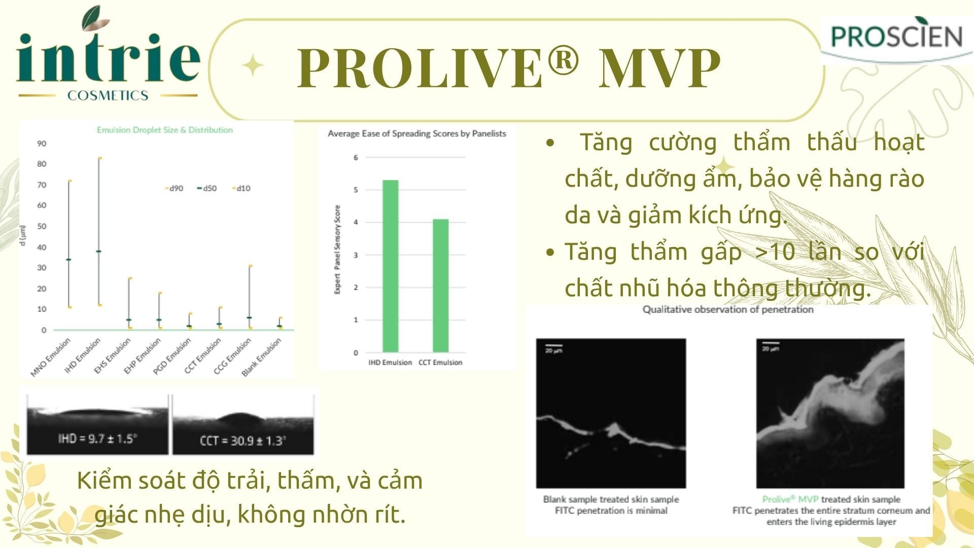  Prolive® MVP 