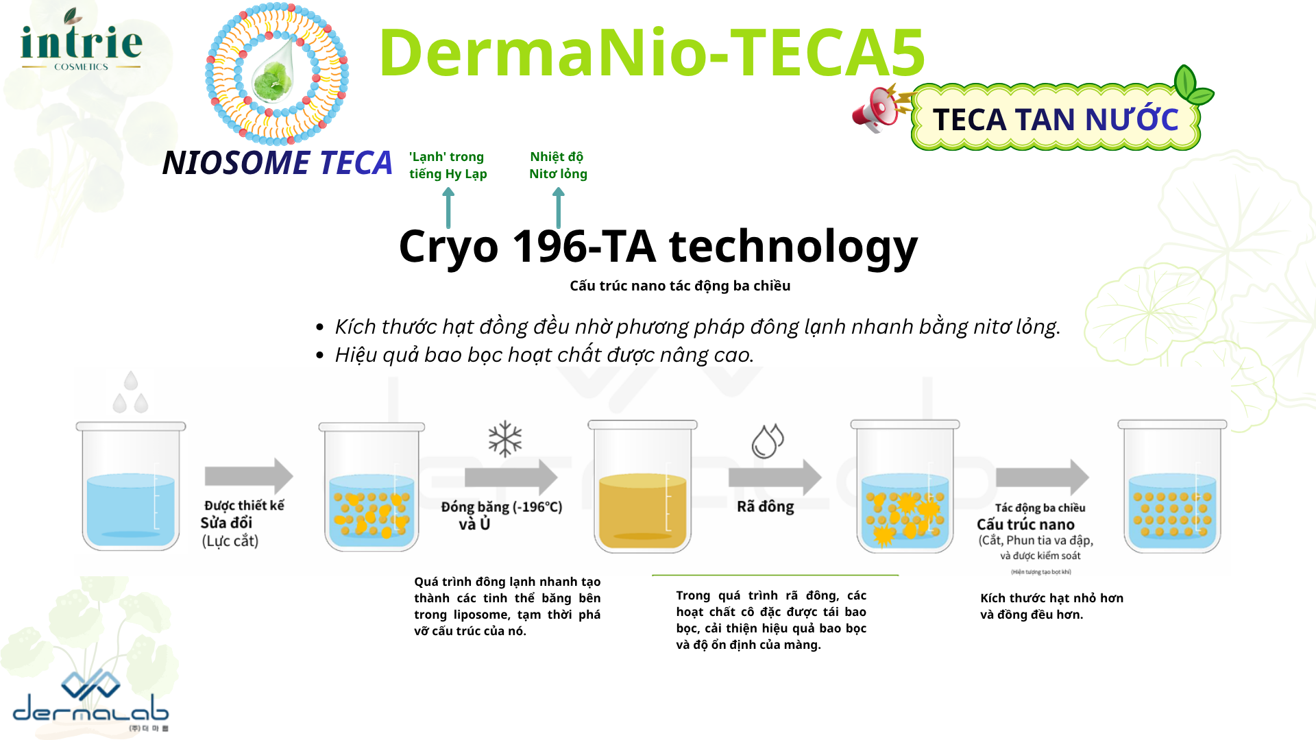  DermaNio-TECA5 