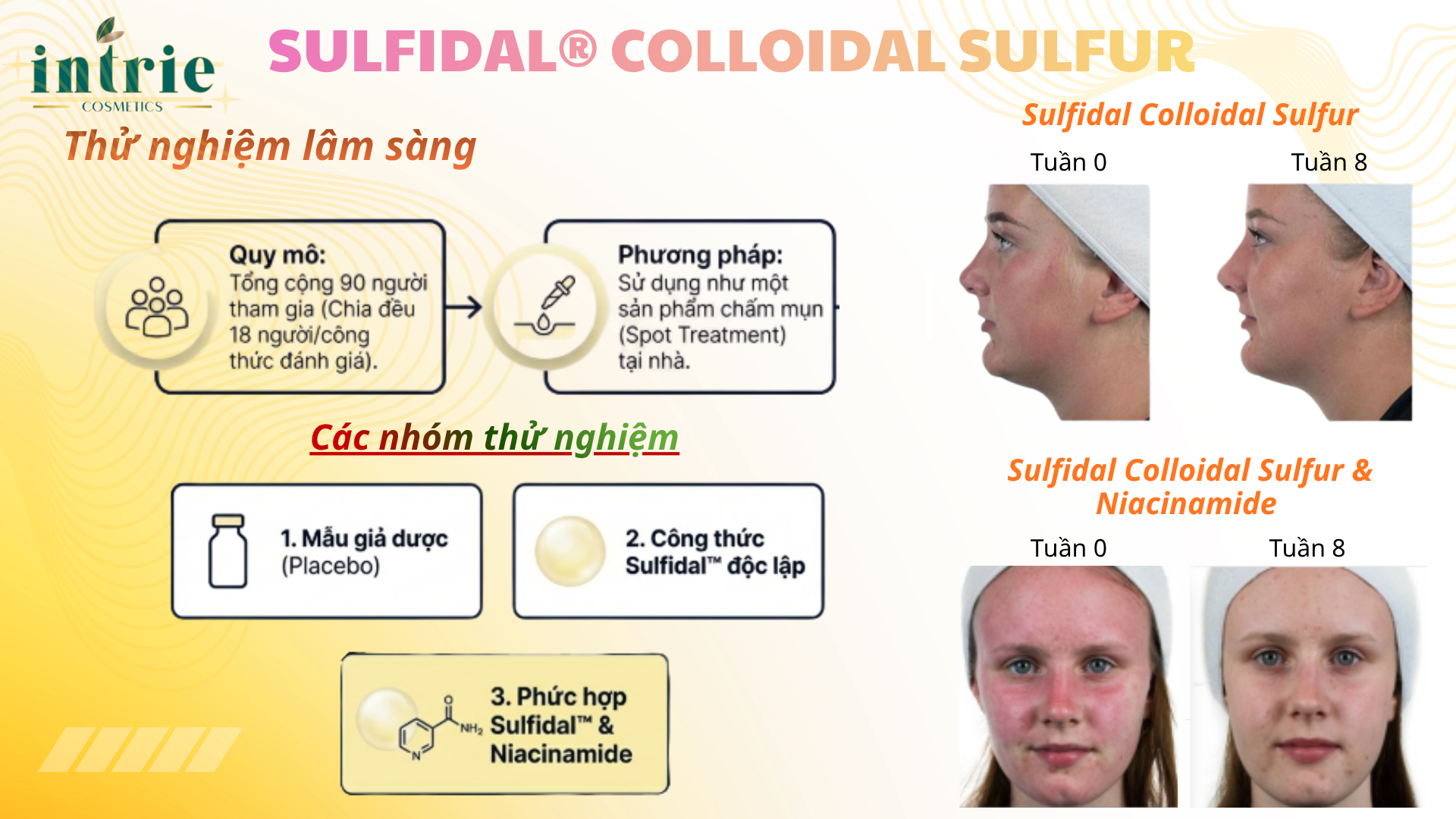  SULFIDAL® COLLOIDAL SULFUR 