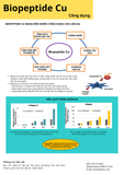  BIOPEPTIDE 