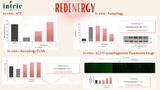  REDENERGY 