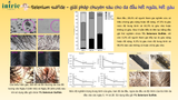  Selenium Sulfide 