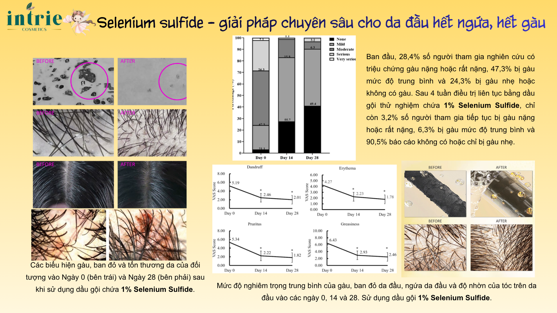  Selenium Sulfide 
