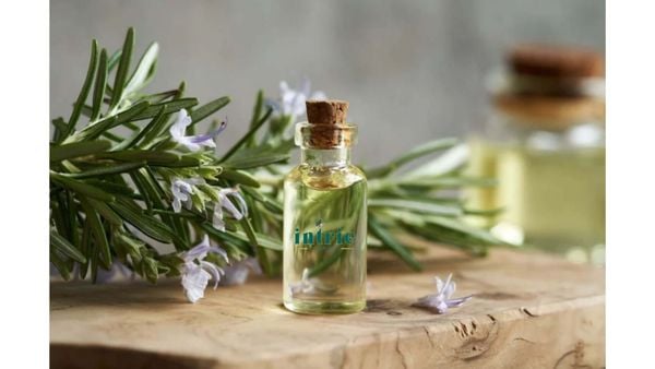  Vinegar Extract(HD) 