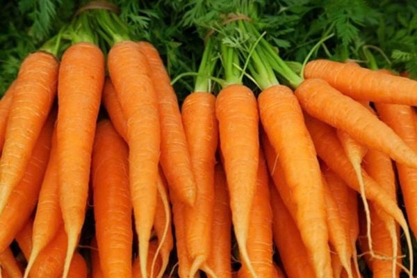  Carrot Extract (HD) 