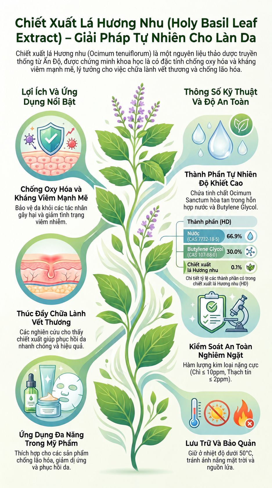  HOLY BASIL LEAF EXTRACT(HD) 