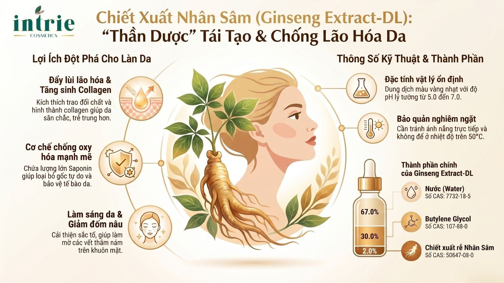  Ginseng Extract-DL 