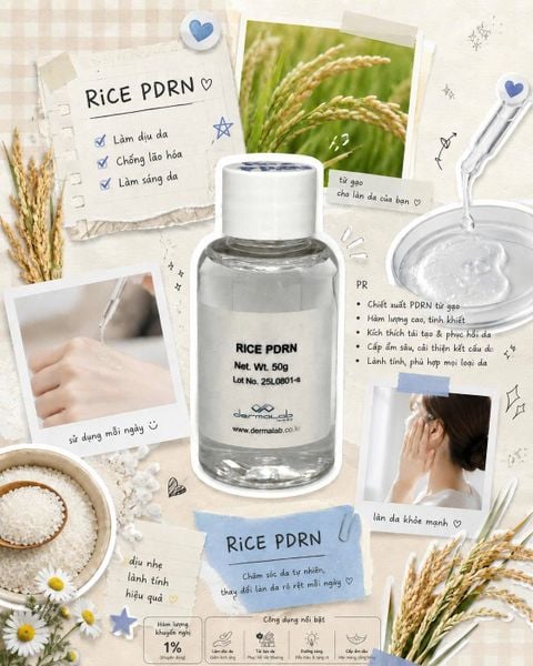  RICE PDRN 