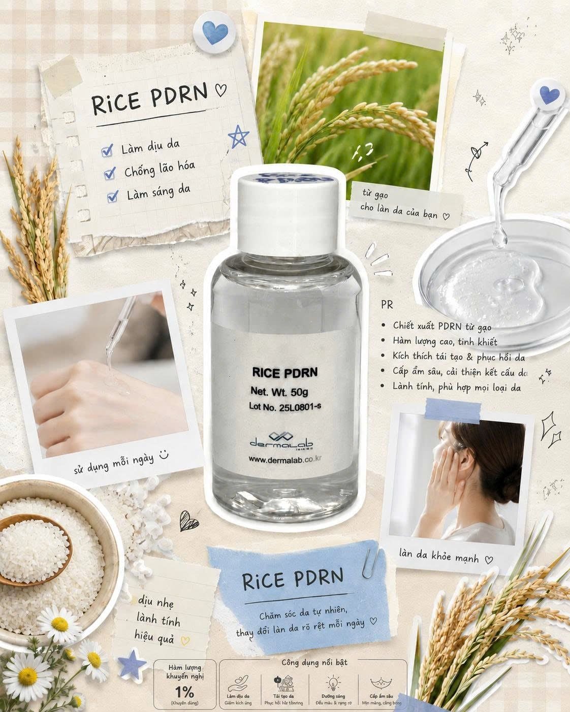  RICE PDRN 