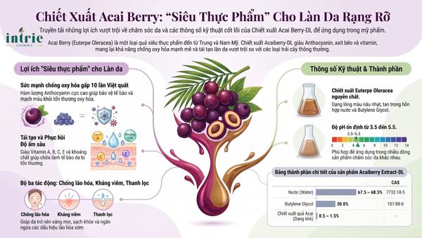  Acaiberry Extract-DL 
