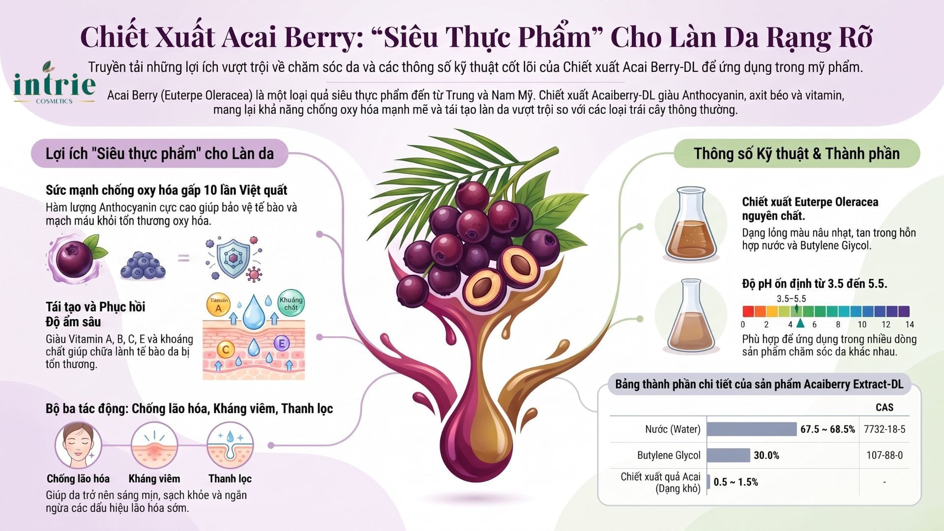  Acaiberry Extract-DL 