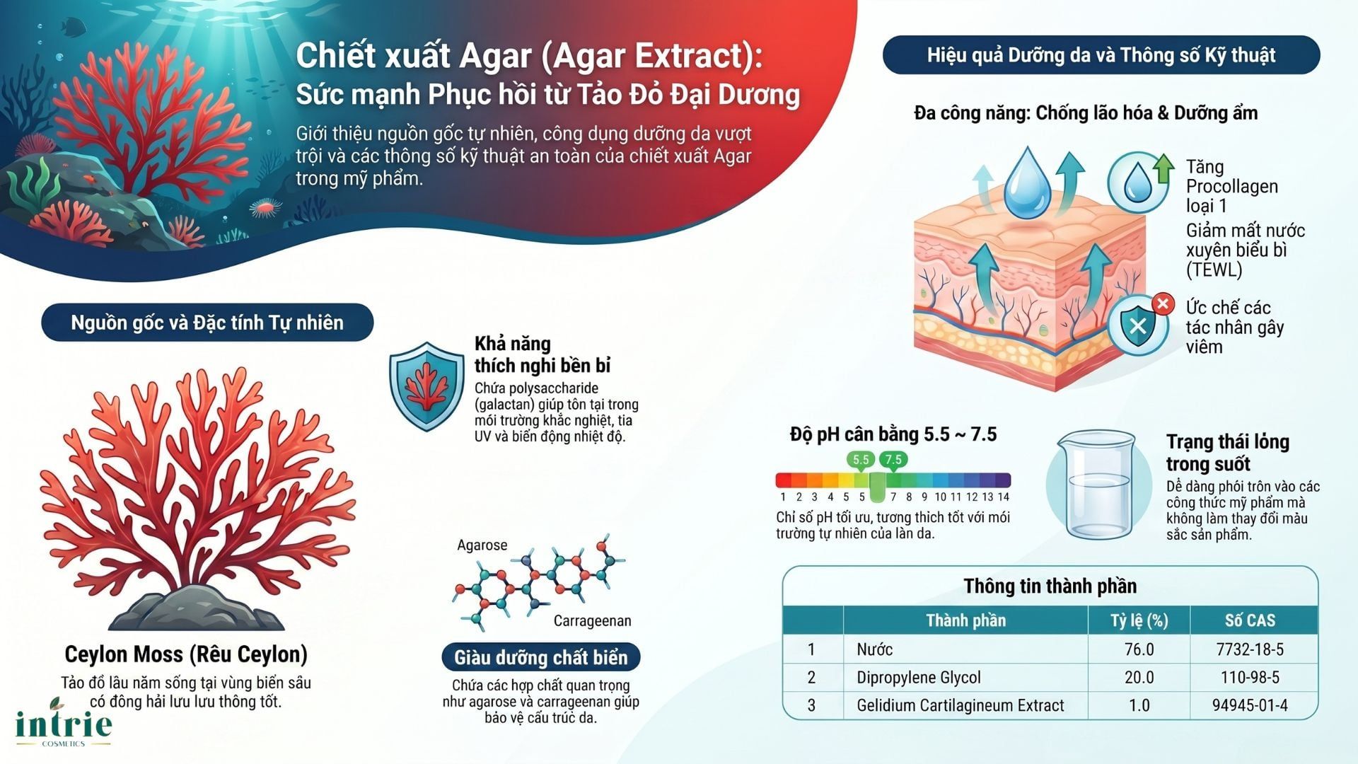  AGAR EXTRACT(HD) 