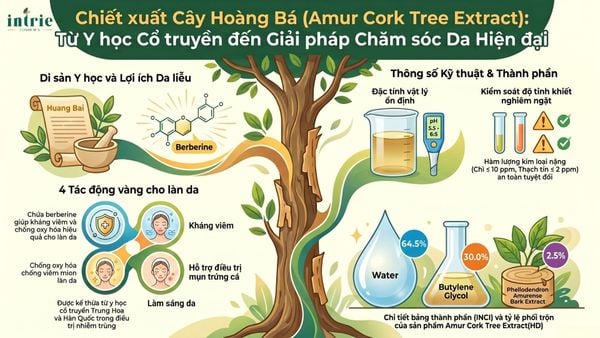  Amur Cork Tree Extract(HD) 