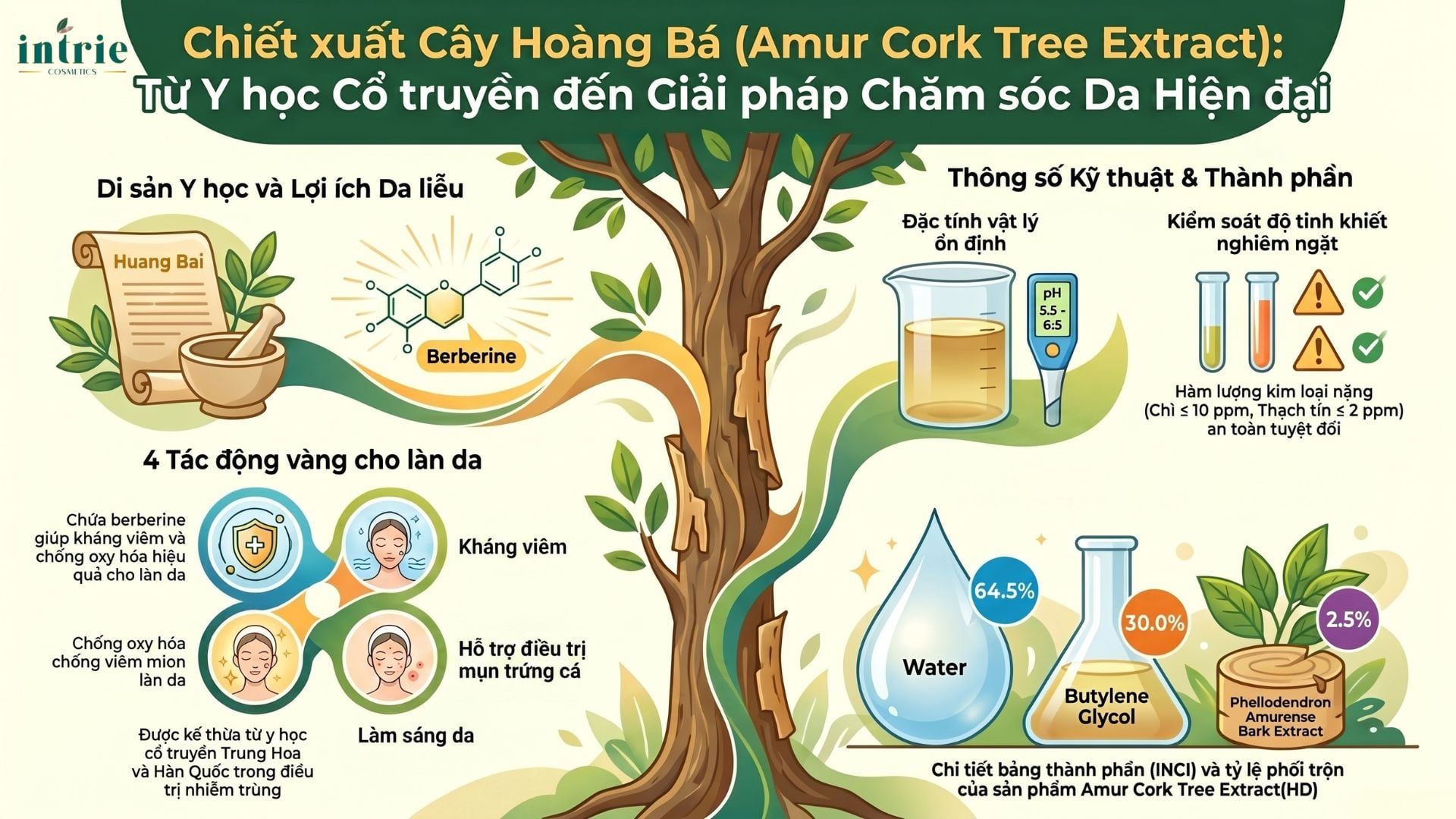  Amur Cork Tree Extract(HD) 