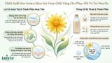  ARNICA FLOWER EXTRACT(HD) 