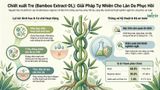  BAMBOO EXTRACT-DL 