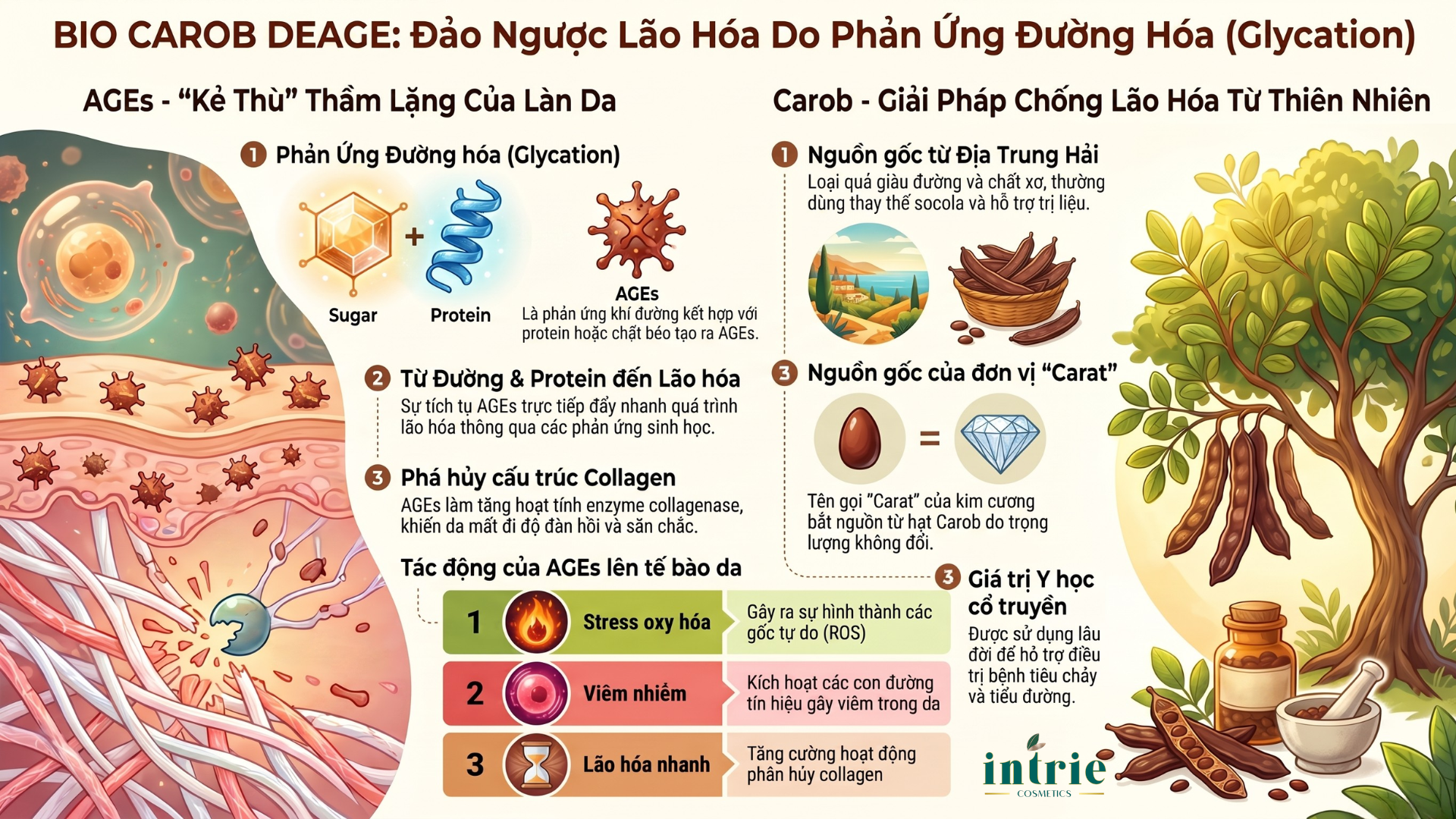  BIO CAROB DEAGE 
