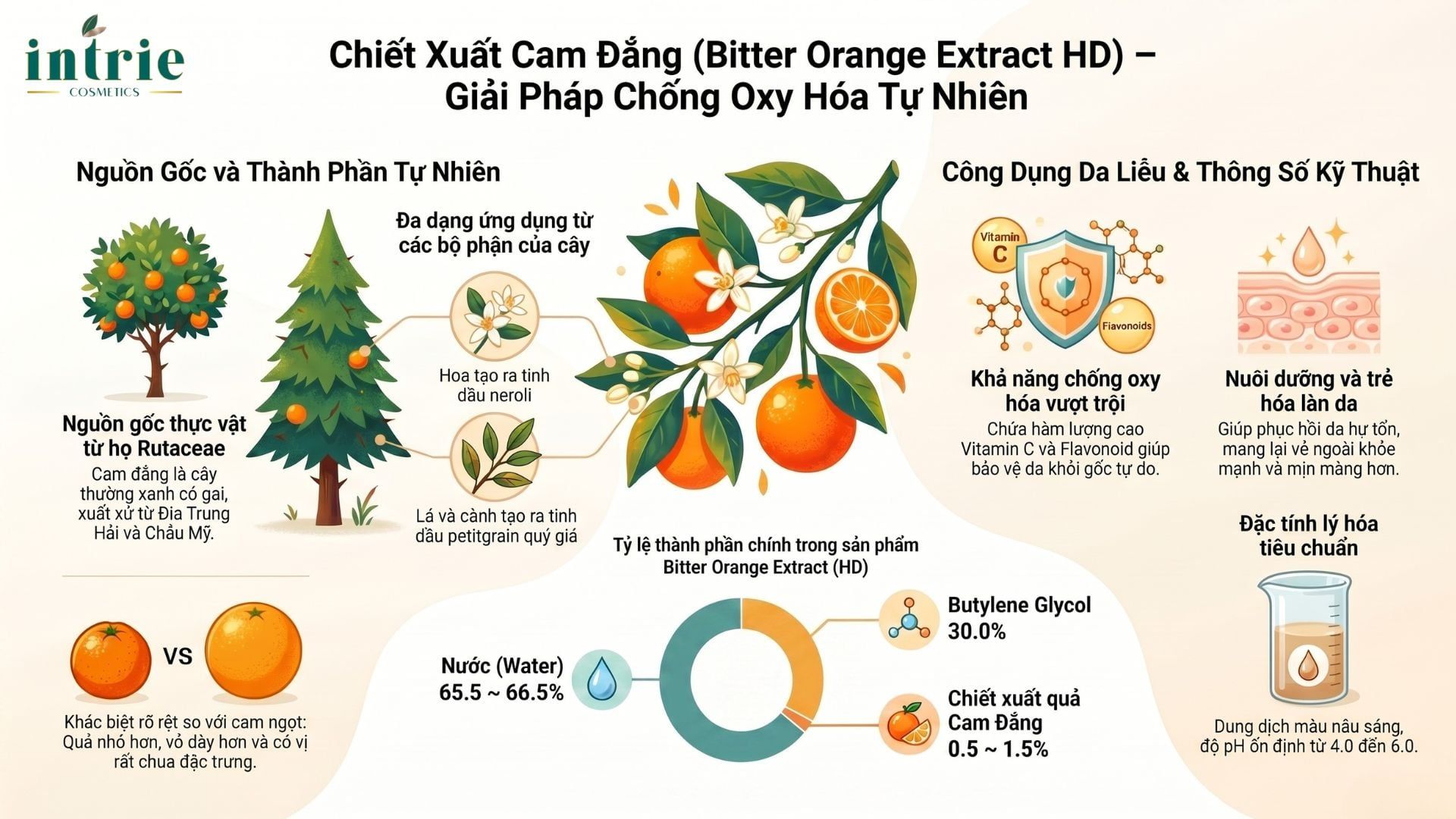  BITTER ORANGE EXTRACT(HD) 