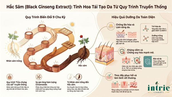  BLACK GINSENG EXTRACT(HD) 