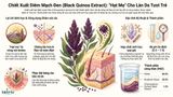  Black Quinoa Extract(HD) 
