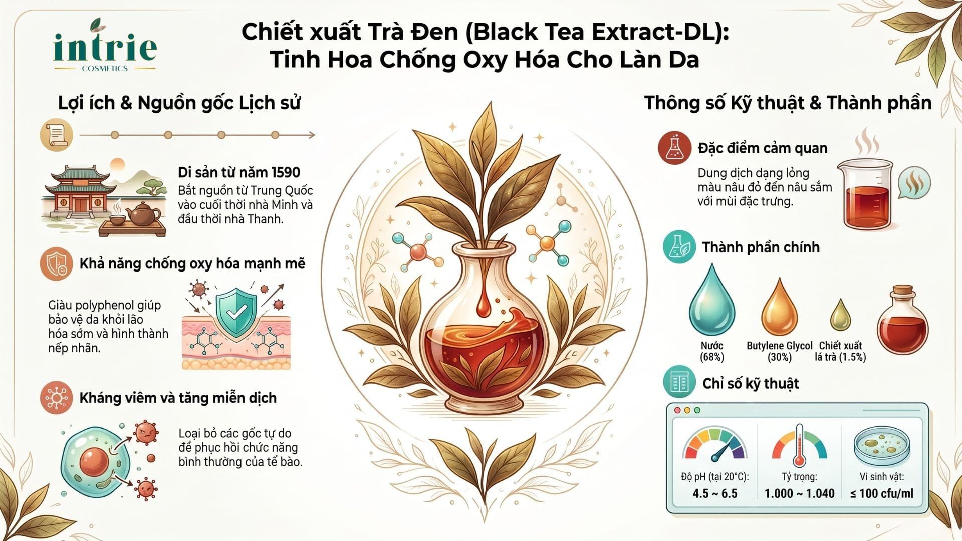  Black Tea Extract-DL 